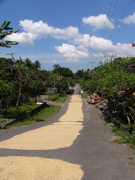route bali