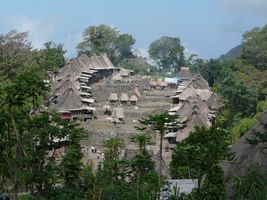 bajawa flores