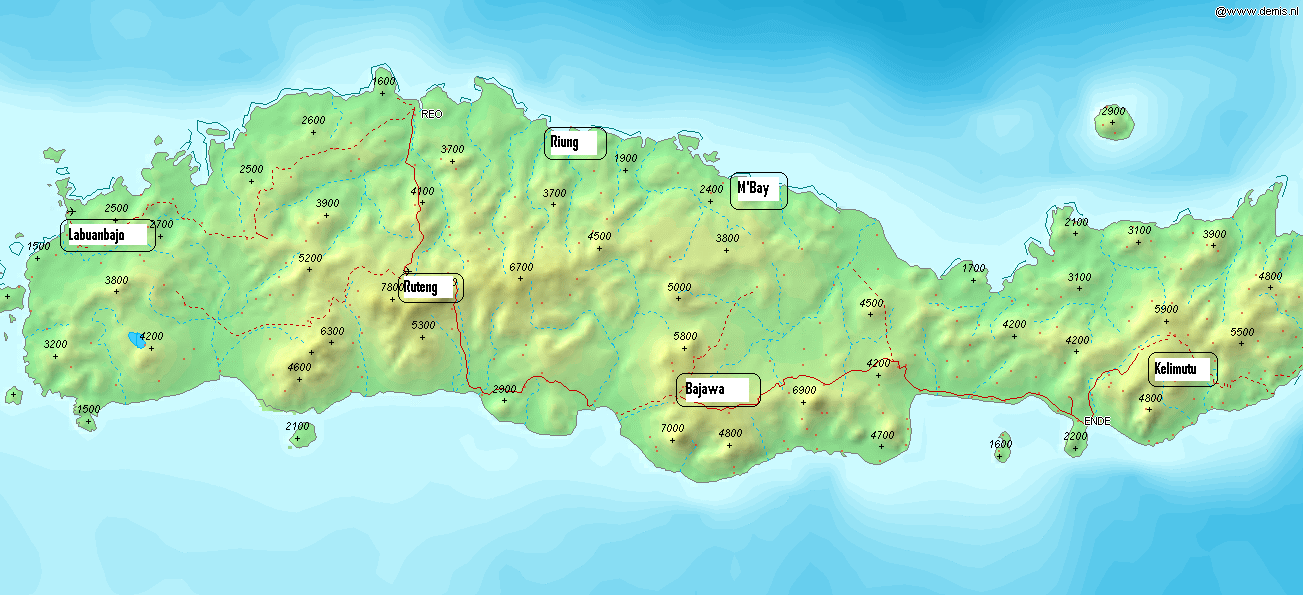 carte de flores