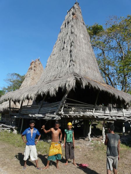 a côté de Pero Sumba