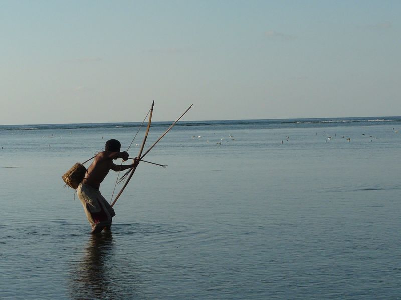pêche à l'arc