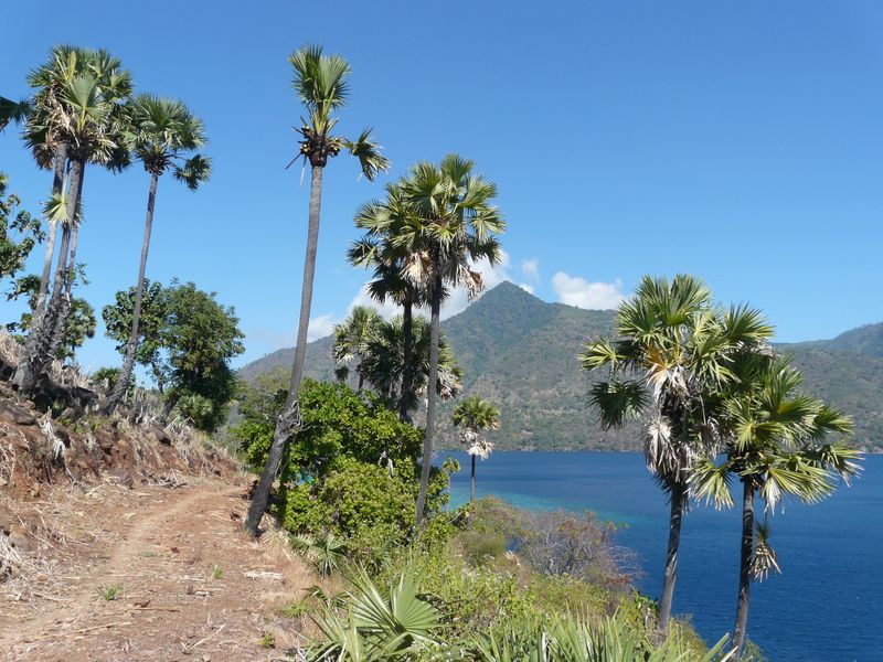 vue d'Alor depuis pulau pura