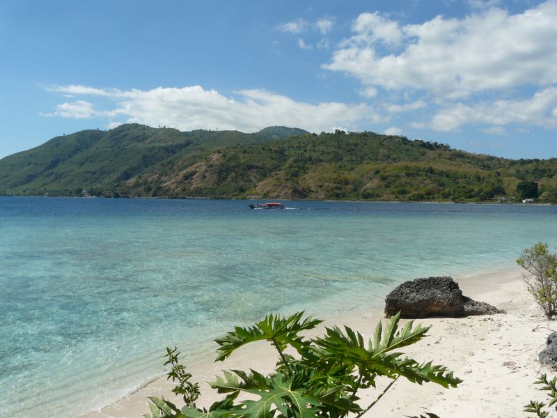 pulau kepa alor